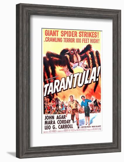 Tarantula-null-Framed Photo