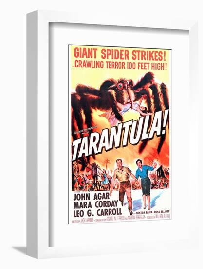 Tarantula-null-Framed Photo