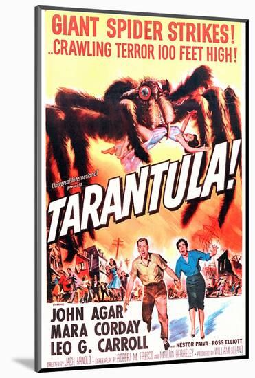 Tarantula-null-Mounted Photo