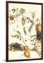 Tarantulas and Army Ants-Maria Sibylla Merian-Framed Art Print