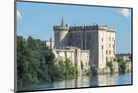 Tarascon Castle, Tarascon, Provence, France-Jim Engelbrecht-Mounted Photographic Print