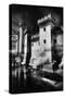 Tarascon Chateau, Provence, France-Simon Marsden-Stretched Canvas