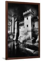 Tarascon Chateau, Provence, France-Simon Marsden-Framed Giclee Print