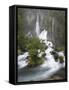 Tarawera Falls, Tarawera River, North Island, New Zealand-David Wall-Framed Stretched Canvas