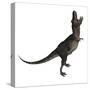 Tarbosaurus Dinosaur Roaring, White Background-Stocktrek Images-Stretched Canvas