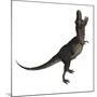 Tarbosaurus Dinosaur Roaring, White Background-Stocktrek Images-Mounted Art Print