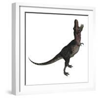 Tarbosaurus Dinosaur Roaring, White Background-Stocktrek Images-Framed Art Print