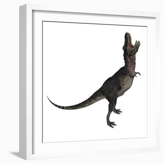 Tarbosaurus Dinosaur Roaring, White Background-Stocktrek Images-Framed Art Print