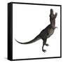 Tarbosaurus Dinosaur Roaring, White Background-Stocktrek Images-Framed Stretched Canvas