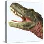 Tarbosaurus Dinosaur Roaring-Stocktrek Images-Stretched Canvas