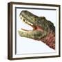 Tarbosaurus Dinosaur Roaring-Stocktrek Images-Framed Art Print