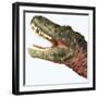 Tarbosaurus Dinosaur Roaring-Stocktrek Images-Framed Art Print