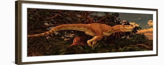 Tarbosaurus Was a Theropod Dinosaur from the Late Cretaceous Period-null-Framed Premium Giclee Print