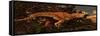 Tarbosaurus Was a Theropod Dinosaur from the Late Cretaceous Period-null-Framed Stretched Canvas