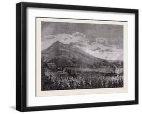 Tarczal Vineyards, Trentino , Italy, 19th Century, Liszt Gourmet Archive-null-Framed Giclee Print