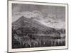 Tarczal Vineyards, Trentino , Italy, 19th Century, Liszt Gourmet Archive-null-Mounted Giclee Print