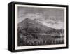 Tarczal Vineyards, Trentino , Italy, 19th Century, Liszt Gourmet Archive-null-Framed Stretched Canvas