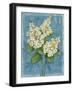 Tardiva Hydrangea-Pamela Gladding-Framed Art Print