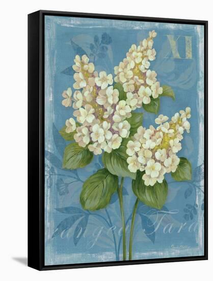 Tardiva Hydrangea-Pamela Gladding-Framed Stretched Canvas