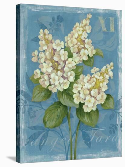 Tardiva Hydrangea-Pamela Gladding-Stretched Canvas