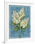 Tardiva Hydrangea-Pamela Gladding-Framed Art Print