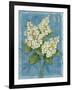 Tardiva Hydrangea-Pamela Gladding-Framed Art Print