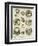 Target Pictures-null-Framed Giclee Print