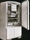 AEESA Refrigerator.-Tarker-Photographic Print