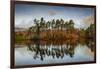 Tarn Hows at sunrise, Lake District National Park, UNESCO World Heritage Site, Cumbria-Ian Egner-Framed Photographic Print