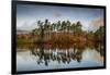 Tarn Hows at sunrise, Lake District National Park, UNESCO World Heritage Site, Cumbria-Ian Egner-Framed Photographic Print