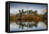 Tarn Hows at sunrise, Lake District National Park, UNESCO World Heritage Site, Cumbria-Ian Egner-Framed Stretched Canvas