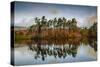 Tarn Hows at sunrise, Lake District National Park, UNESCO World Heritage Site, Cumbria-Ian Egner-Stretched Canvas