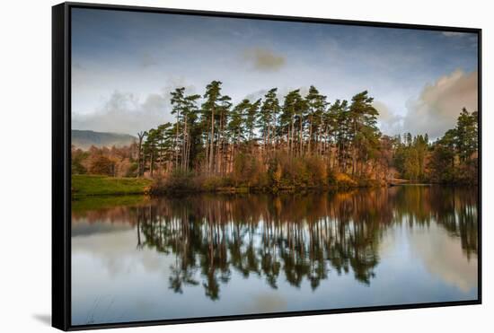 Tarn Hows at sunrise, Lake District National Park, UNESCO World Heritage Site, Cumbria-Ian Egner-Framed Stretched Canvas