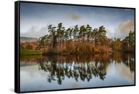 Tarn Hows at sunrise, Lake District National Park, UNESCO World Heritage Site, Cumbria-Ian Egner-Framed Stretched Canvas