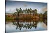 Tarn Hows at sunrise, Lake District National Park, UNESCO World Heritage Site, Cumbria-Ian Egner-Stretched Canvas