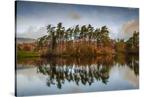 Tarn Hows at sunrise, Lake District National Park, UNESCO World Heritage Site, Cumbria-Ian Egner-Stretched Canvas