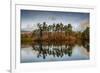 Tarn Hows at sunrise, Lake District National Park, UNESCO World Heritage Site, Cumbria-Ian Egner-Framed Photographic Print