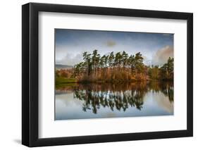 Tarn Hows at sunrise, Lake District National Park, UNESCO World Heritage Site, Cumbria-Ian Egner-Framed Photographic Print