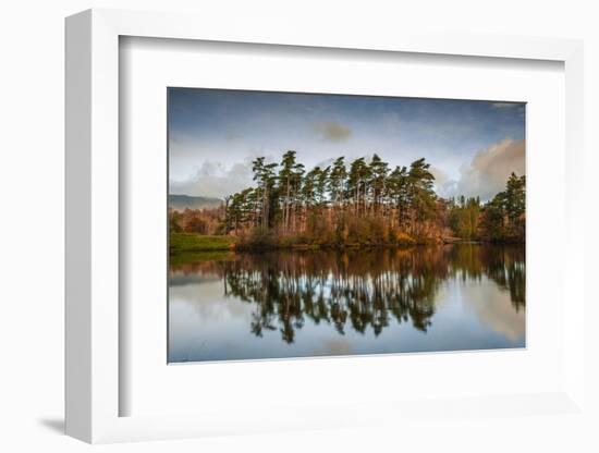 Tarn Hows at sunrise, Lake District National Park, UNESCO World Heritage Site, Cumbria-Ian Egner-Framed Photographic Print