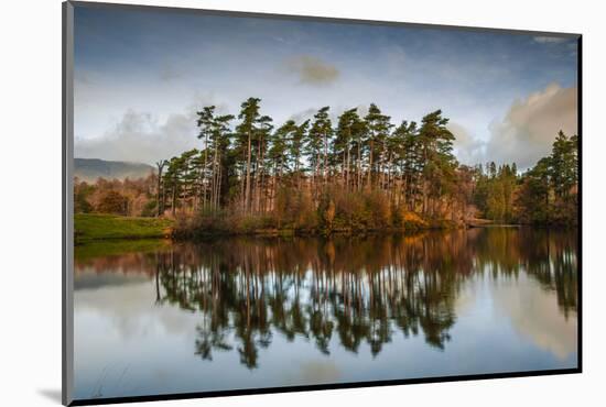 Tarn Hows at sunrise, Lake District National Park, UNESCO World Heritage Site, Cumbria-Ian Egner-Mounted Photographic Print