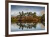 Tarn Hows at sunrise, Lake District National Park, UNESCO World Heritage Site, Cumbria-Ian Egner-Framed Photographic Print