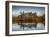 Tarn Hows at sunrise, Lake District National Park, UNESCO World Heritage Site, Cumbria-Ian Egner-Framed Photographic Print