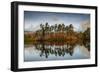 Tarn Hows at sunrise, Lake District National Park, UNESCO World Heritage Site, Cumbria-Ian Egner-Framed Photographic Print