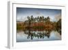 Tarn Hows at sunrise, Lake District National Park, UNESCO World Heritage Site, Cumbria-Ian Egner-Framed Photographic Print