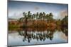 Tarn Hows at sunrise, Lake District National Park, UNESCO World Heritage Site, Cumbria-Ian Egner-Mounted Photographic Print