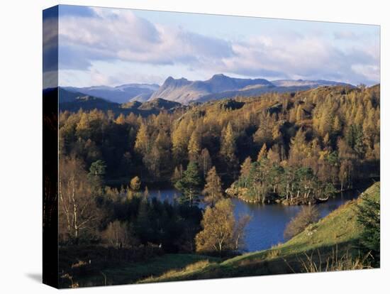 Tarn Hows, Lake District National Park, Cumbria, England, United Kingdom-Roy Rainford-Stretched Canvas