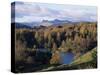 Tarn Hows, Lake District National Park, Cumbria, England, United Kingdom-Roy Rainford-Stretched Canvas