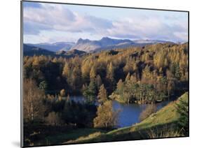 Tarn Hows, Lake District National Park, Cumbria, England, United Kingdom-Roy Rainford-Mounted Photographic Print