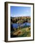 Tarn Hows, Lake District National Park, Cumbria, England, United Kingdom-Roy Rainford-Framed Photographic Print