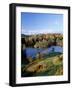 Tarn Hows, Lake District National Park, Cumbria, England, United Kingdom-Roy Rainford-Framed Photographic Print